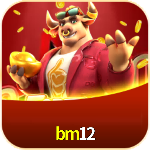  bm12